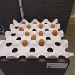 carrara marble tour for architects, eggs placer