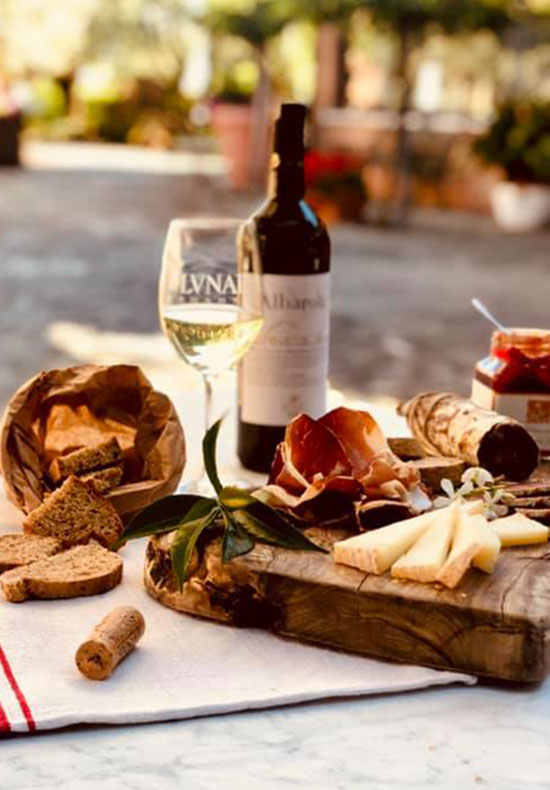 Wine tour with lunch in Colli di Lucca – shore excursion from Carrara port
