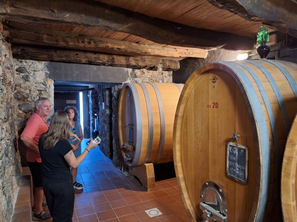 shore excursions from carrara, wine tours