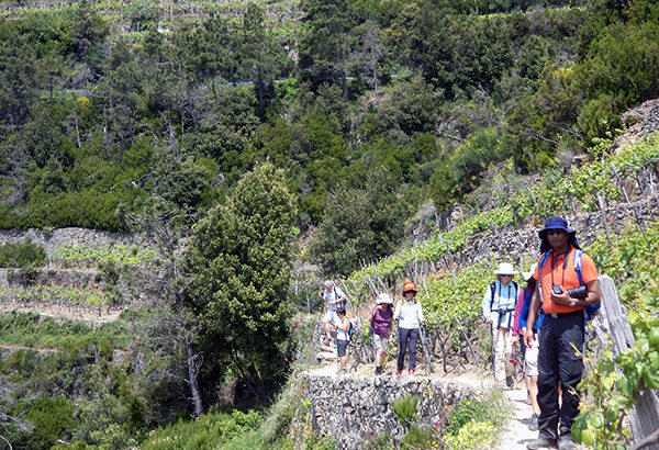 Liguria hiking pathsday trip from cruise port