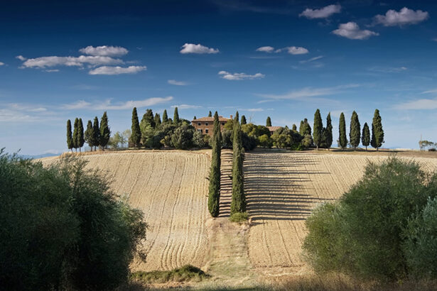 Chianti and Lucca wine hills wine tour from Carrara